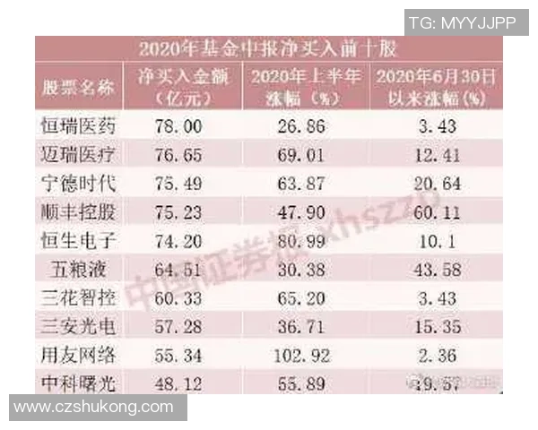 南京乒乓球队在世界锦标赛中的团队协作表现分析与点评