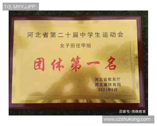 南京乒乓球队在全国个人能力排行榜中荣登第九名展现强劲实力